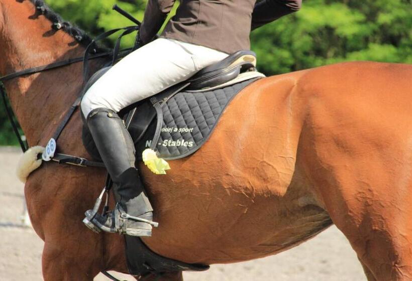 호텔 Farm Stay Nh Stables