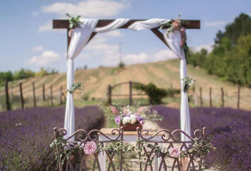 ホテル Hazai Provence