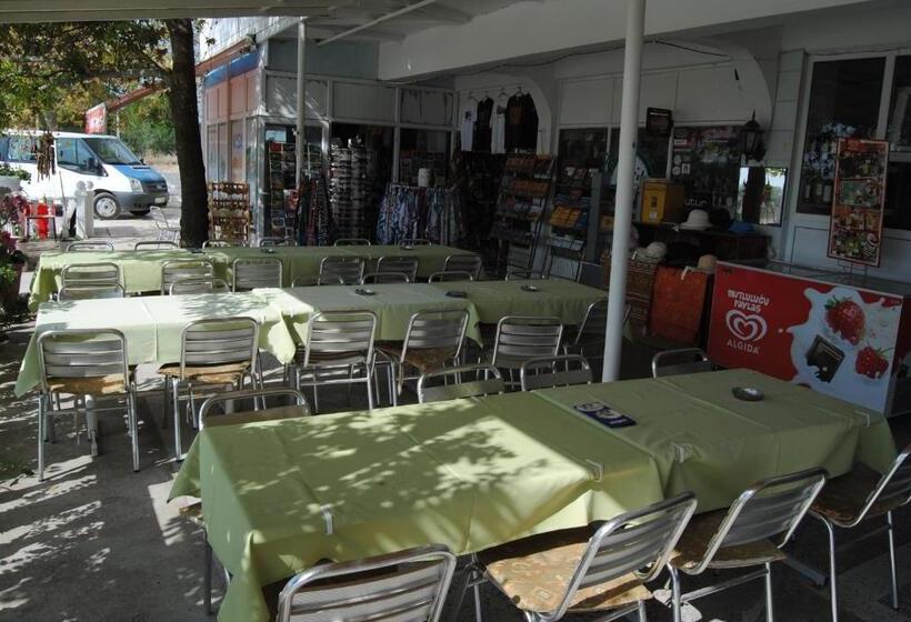 בית מלון כפרי Hisarlık