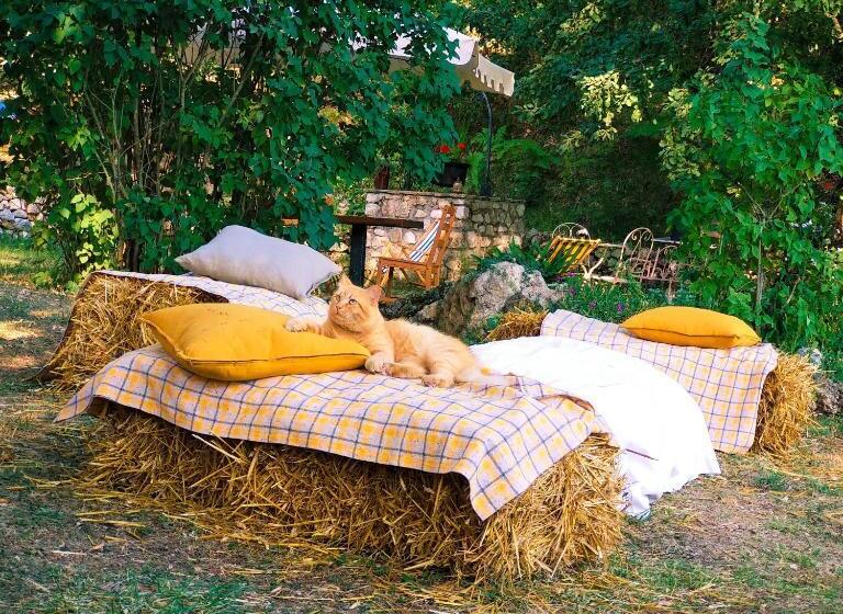 בית מלון כפרי Il Casale Della Biodiversità