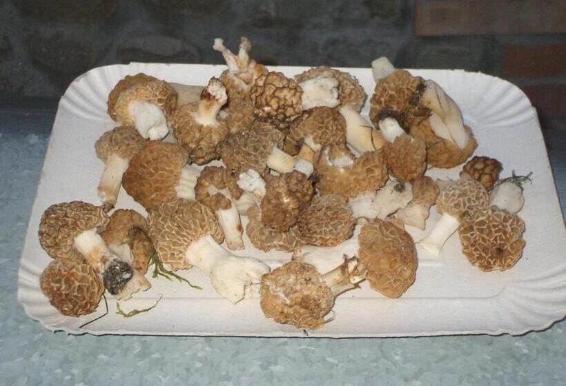 호텔 La Colombarola