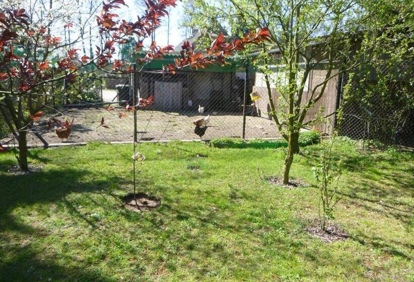 בית מלון כפרי Maja