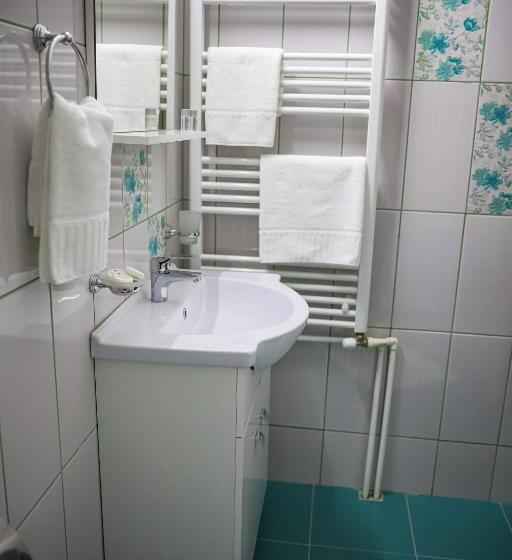 酒店 Pensiunea Lucian