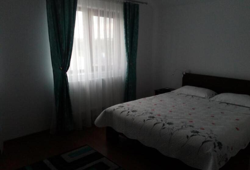 ホテル Pensiunea Lucian