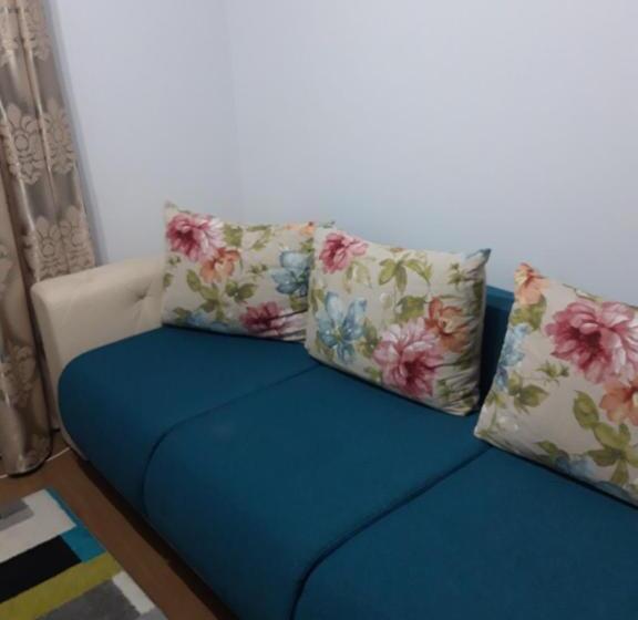 Отель Pensiunea Lucian