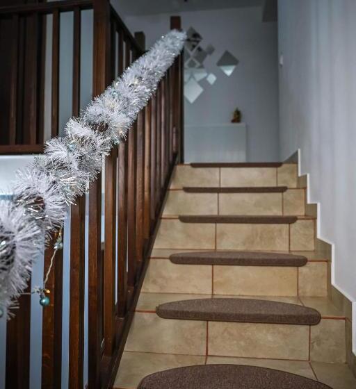 호텔 Pensiunea Lucian