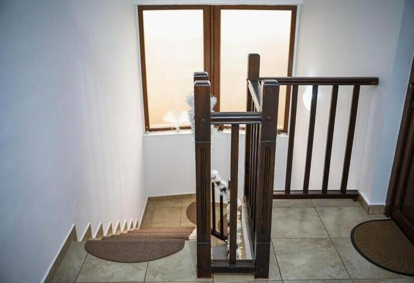 Отель Pensiunea Lucian