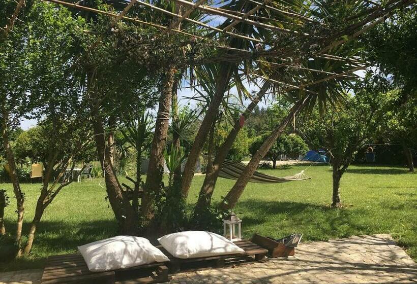 ホテル Quintal D Avó