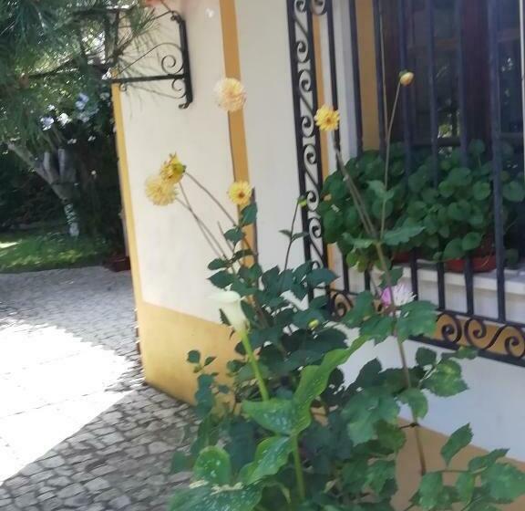 ホテル Quintal D Avó