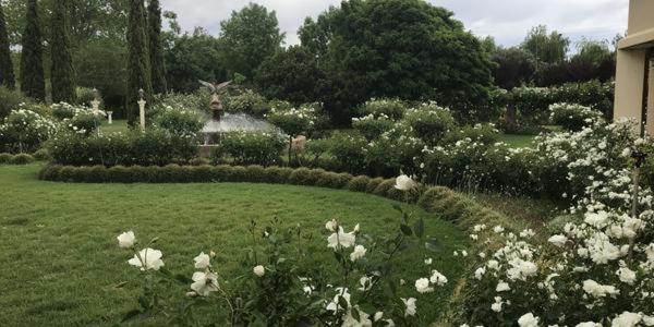 فندق Sanctuary Guest & Adventure Farm