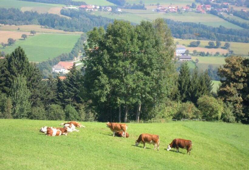 فندق Seppl Am Berg