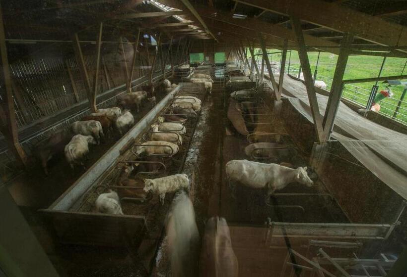 ホテル Steigmatt Bauernhof Erlebnis