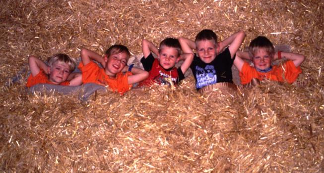 ホテル Steigmatt Bauernhof Erlebnis