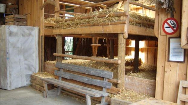 ホテル Steigmatt Bauernhof Erlebnis