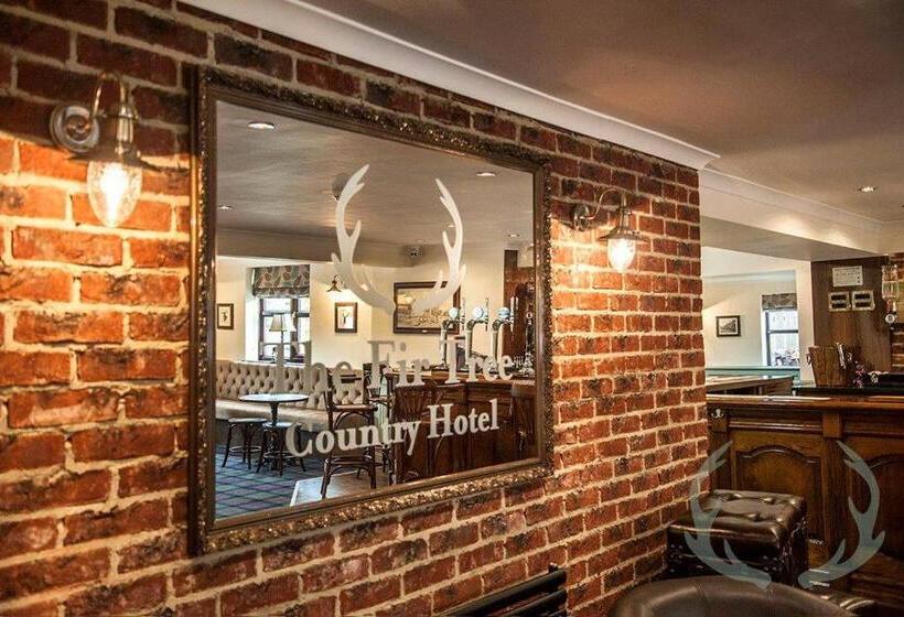 Hotell The Fir Tree Country