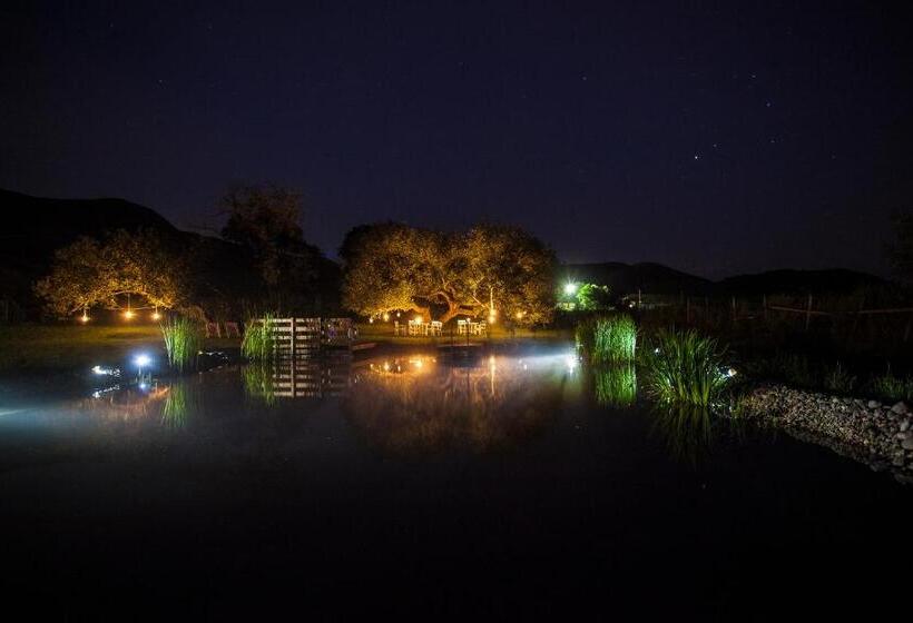 בית מלון כפרי Valea Verde Retreat Transilvania