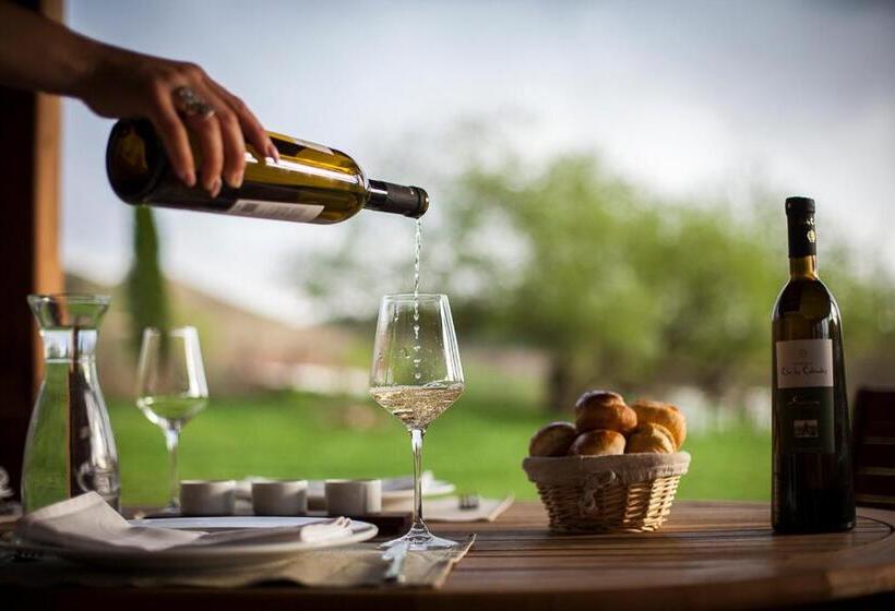 בית מלון כפרי Valea Verde Retreat Transilvania