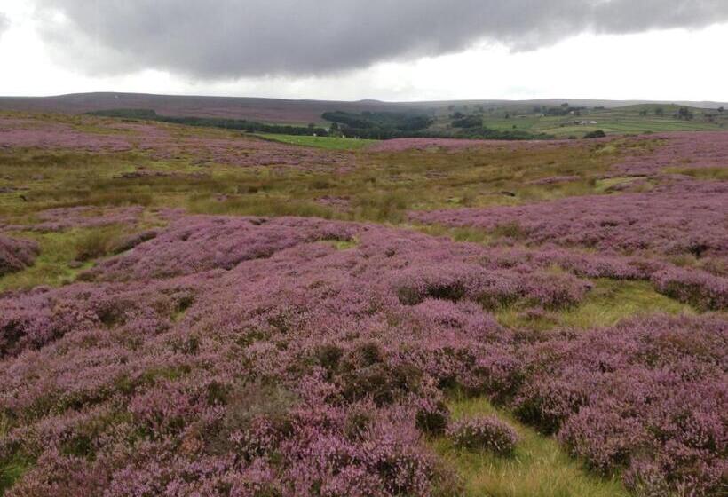 Mickley Bed And Breakfast