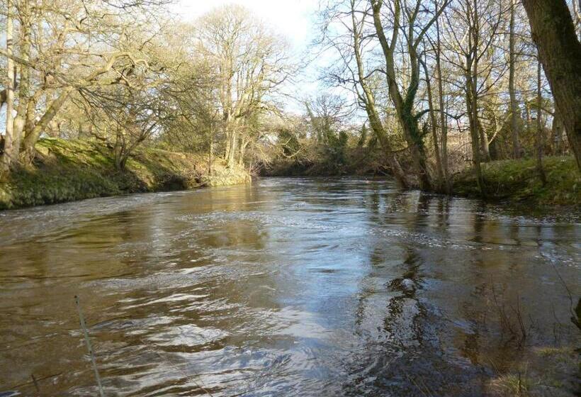 Mickley Bed And Breakfast