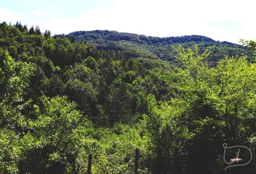 Panzió вила ирена