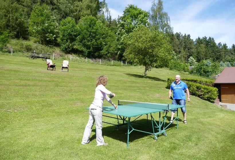 بنسيون 4 Sterne Ferienwohnung Sommerberg Inklusive Gästekarte