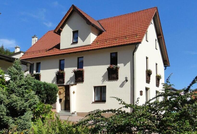 بنسيون 4 Sterne Ferienwohnung Sommerberg Inklusive Gästekarte