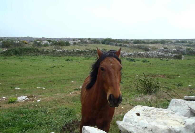 פנסיון A Casa Da Serra   Alojamento Local