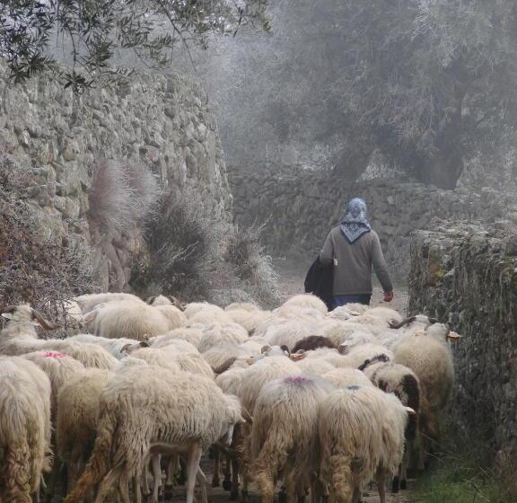 بنسيون A Queijaria