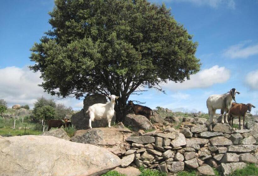 بنسيون A Queijaria