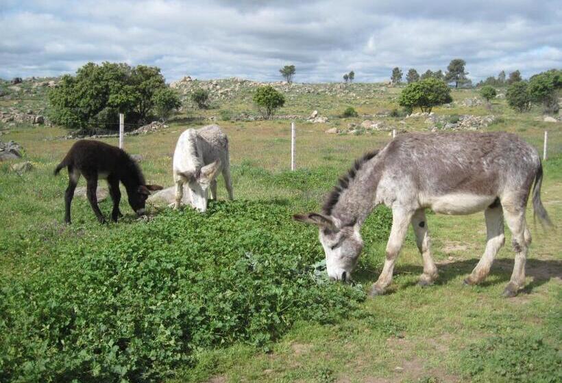 بنسيون A Queijaria