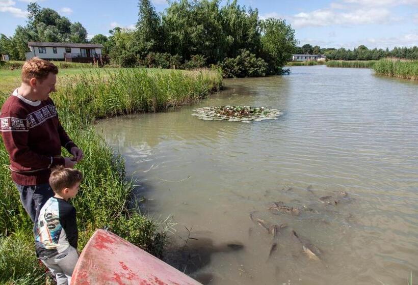 פנסיון Augusta Dreams