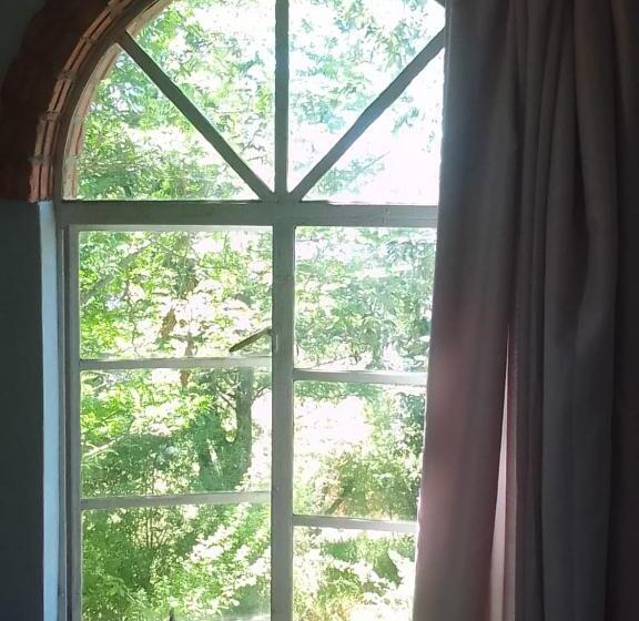 פנסיון Bethany Farm