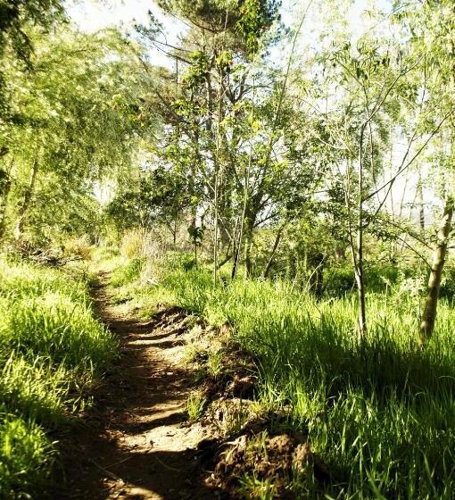 פנסיון Bethany Farm