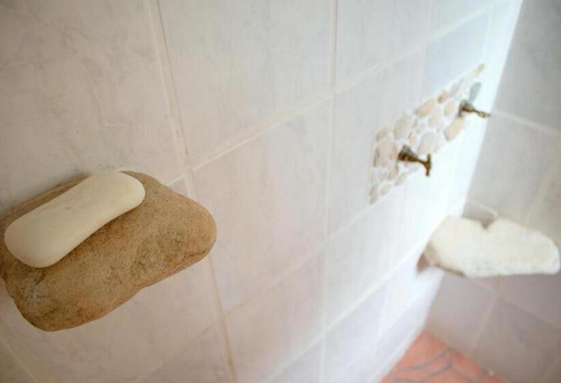 פנסיון Bethany Farm