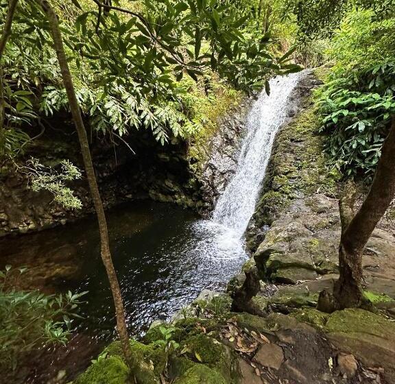 Пансион Caldeira Guesthouse