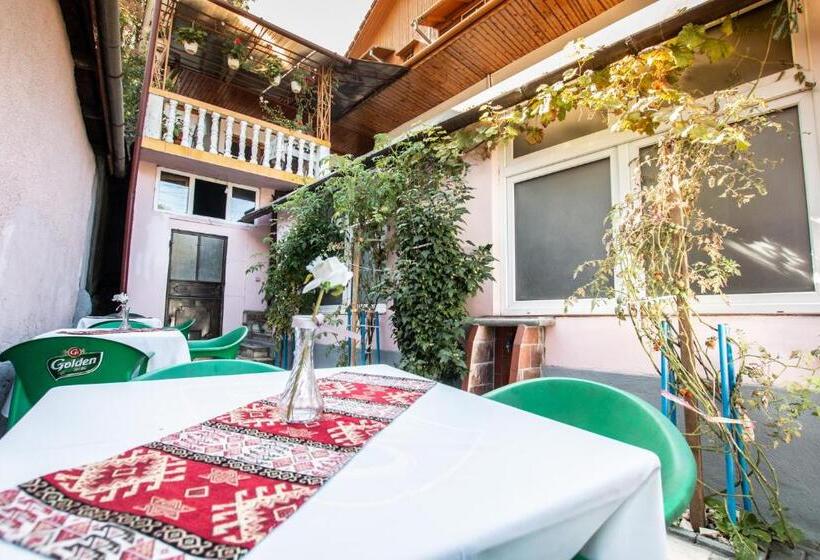 Пансион Casa Albă