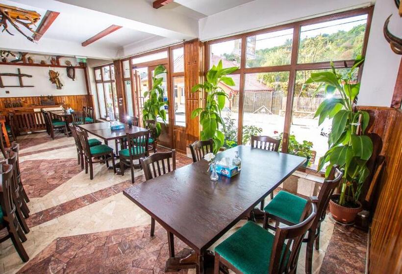 Пансион Casa Albă