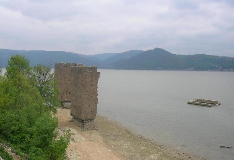 ペンション Casa Sviniceană