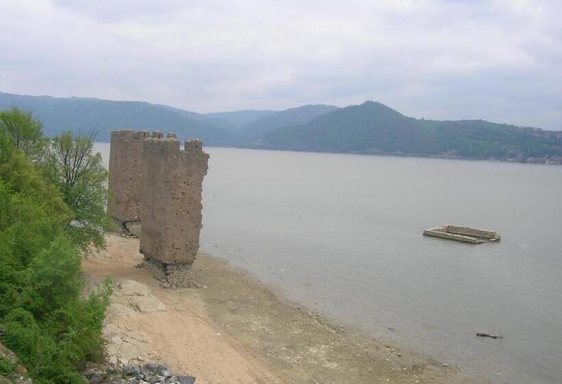 ペンション Casa Sviniceană