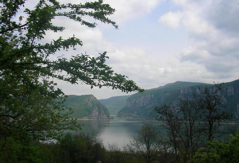 ペンション Casa Sviniceană