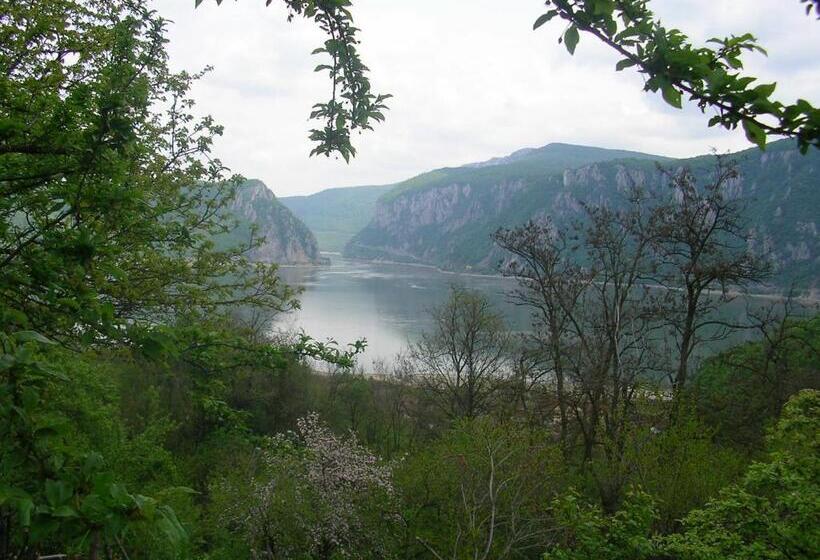 ペンション Casa Sviniceană