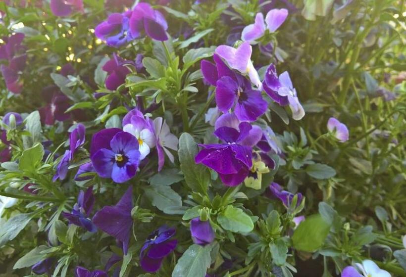 膳宿费 Chambre D Hote 1873