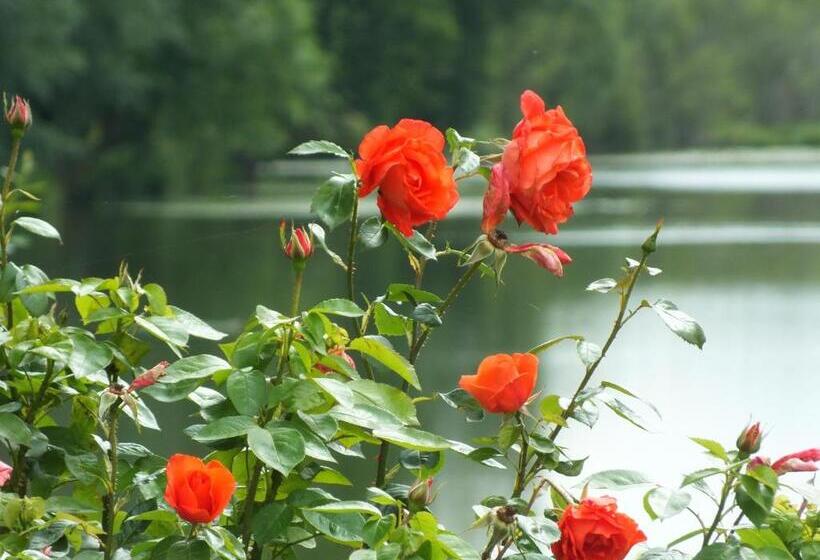 פנסיון Chambre D Hôtes   La Rigaudière