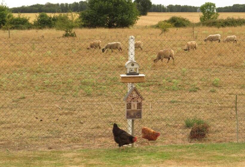 膳宿费 Chambre D Hôtes La Clé Du Bonheur