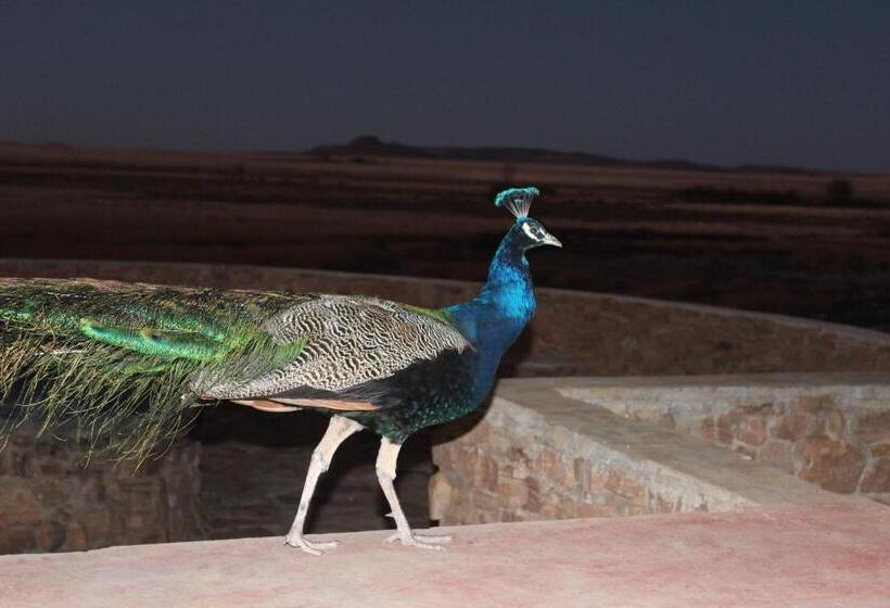 بنسيون Gannabos Guest House