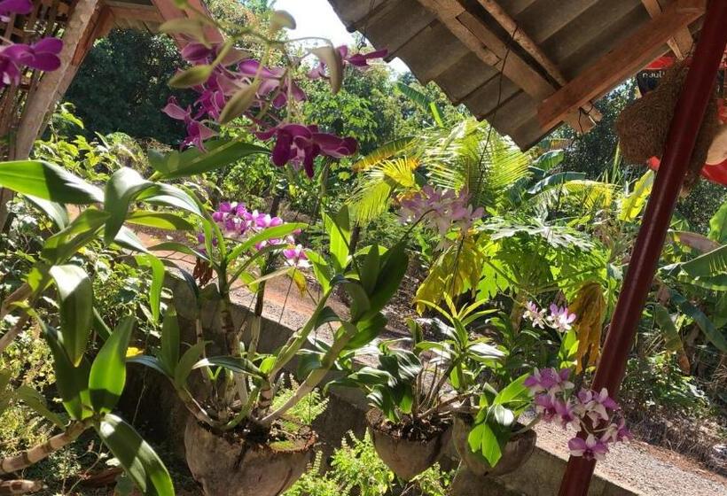 Пансион Garden Home, Chanthaburi