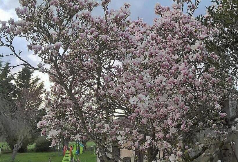 Пансион Gîte Du Clos Sébastien