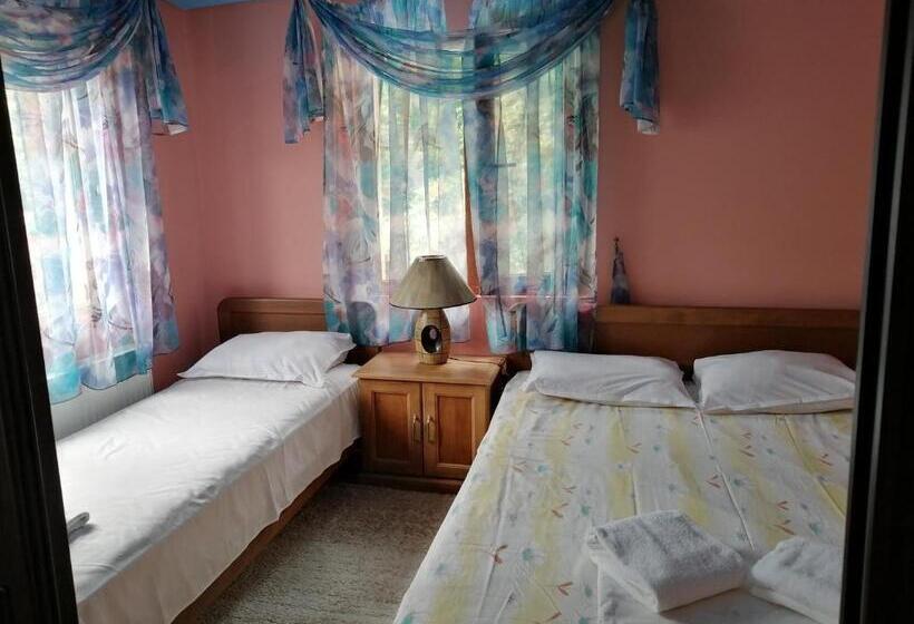 بنسيون къща цвети 1 трявна