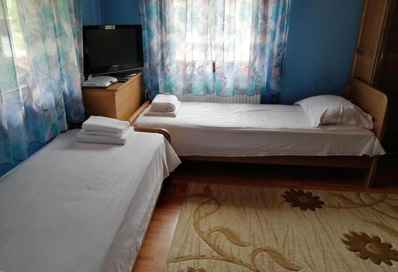 بنسيون къща цвети 1 трявна