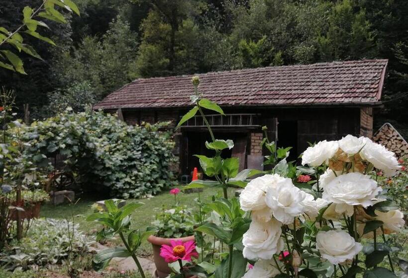 بنسيون къща цвети 1 трявна